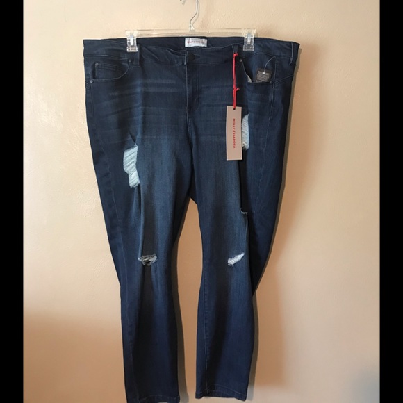 molly and isadora plus size jeans